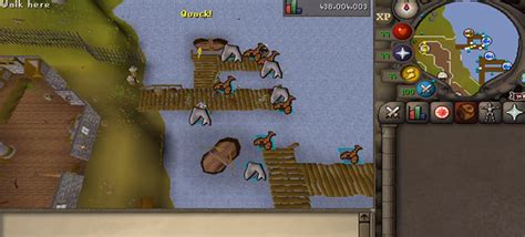 osrs shark|OSRS: The 5 Best Shark Fishing Spots – FandomSpot.